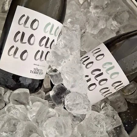 Bed & Breakfast Tenuta Tamburnin