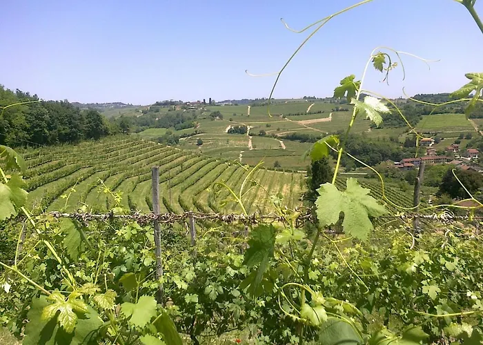 Tenuta Tamburnin Oda ve Kahvaltı Castelnuovo Don Bosco
